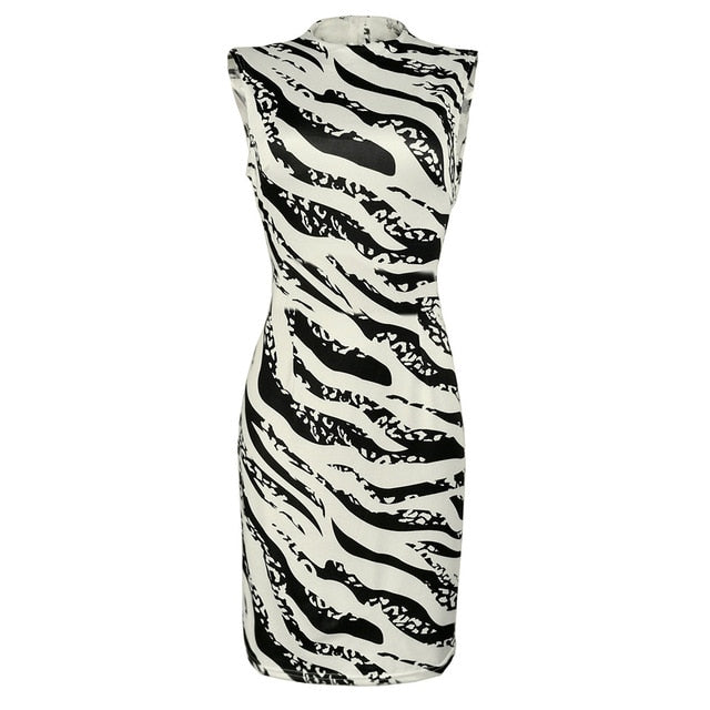 Elegant Women Sexy Dress