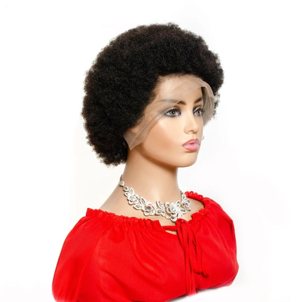Brazilian 13x4 Lace Front Wigs Natural Color Remy Afro Kinky Curly Human Hair Wigs