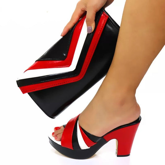 Designer Shoes and Bags Matching Sets