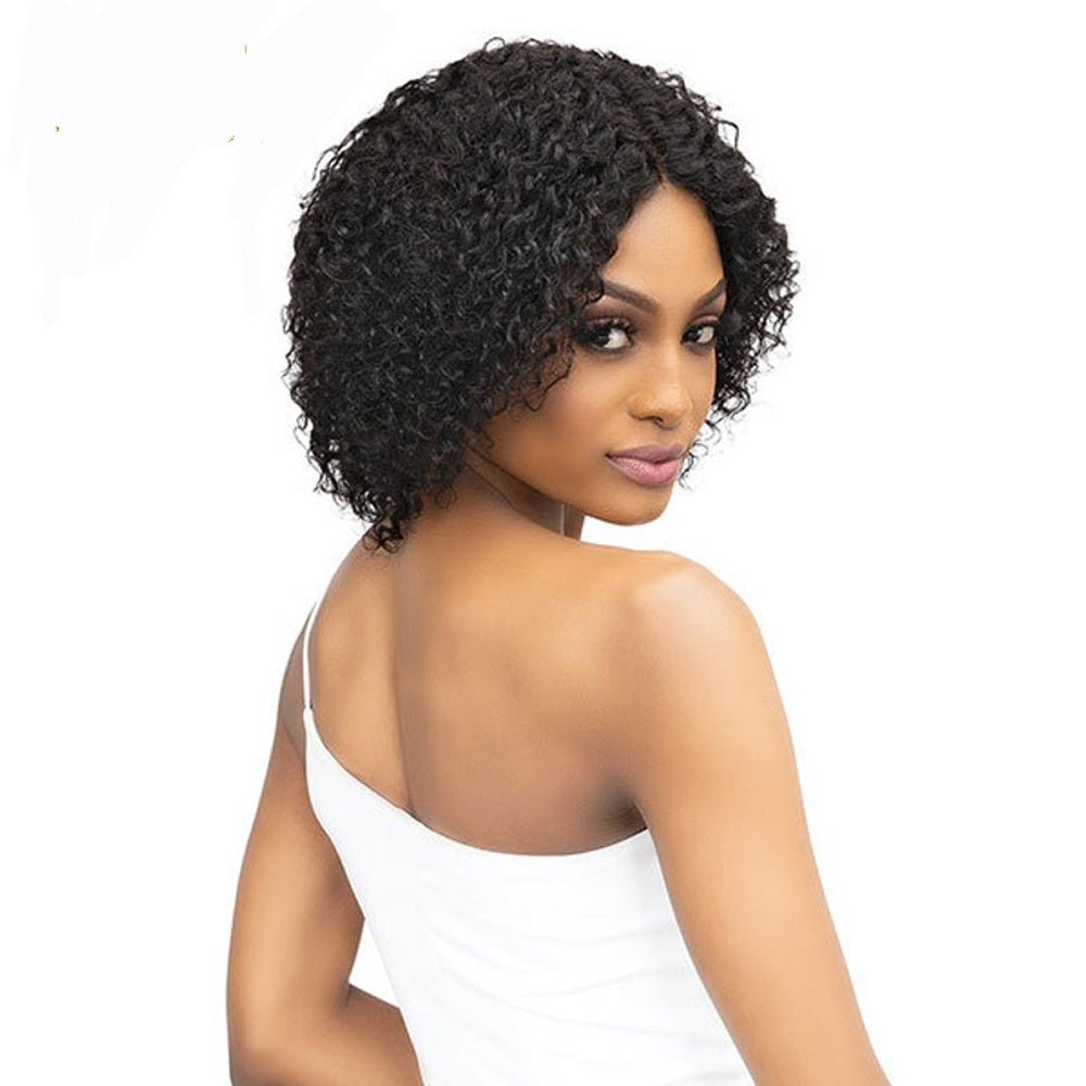 Short Curly Bob Wigs Wet and Wavy Lace Front Wig Glueless Jerry Curly Wig 4x4 T Part Lace Wig Indian Hair