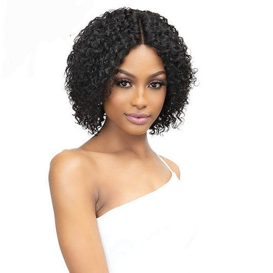 Short Curly Bob Wigs Wet and Wavy Lace Front Wig Glueless Jerry Curly Wig 4x4 T Part Lace Wig Indian Hair