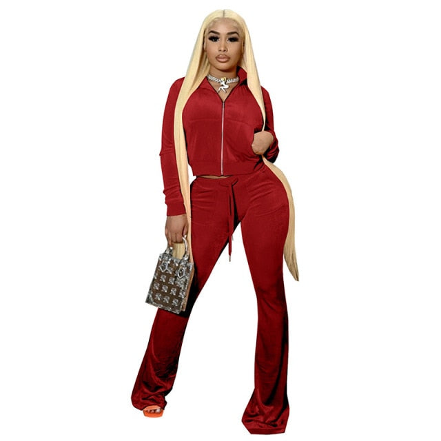 10Sets Women Velvet Tracksuit 2 Two Piece Set Outfits