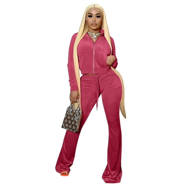 10Sets Women Velvet Tracksuit 2 Two Piece Set Outfits