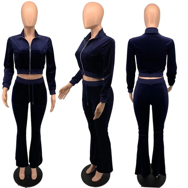 10Sets Women Velvet Tracksuit 2 Two Piece Set Outfits