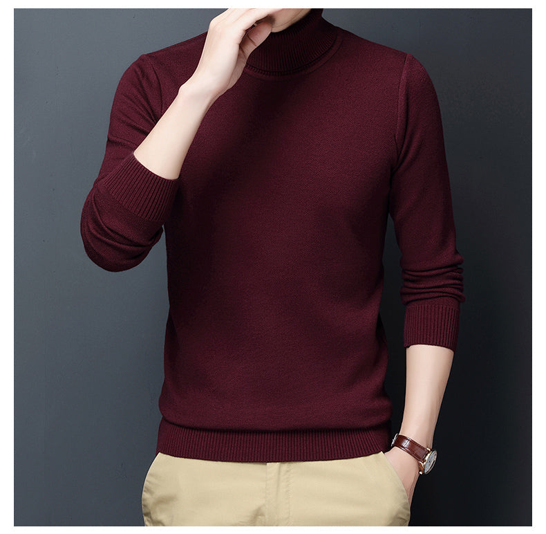 Men Casual Winter Thick Turtleneck Sweater