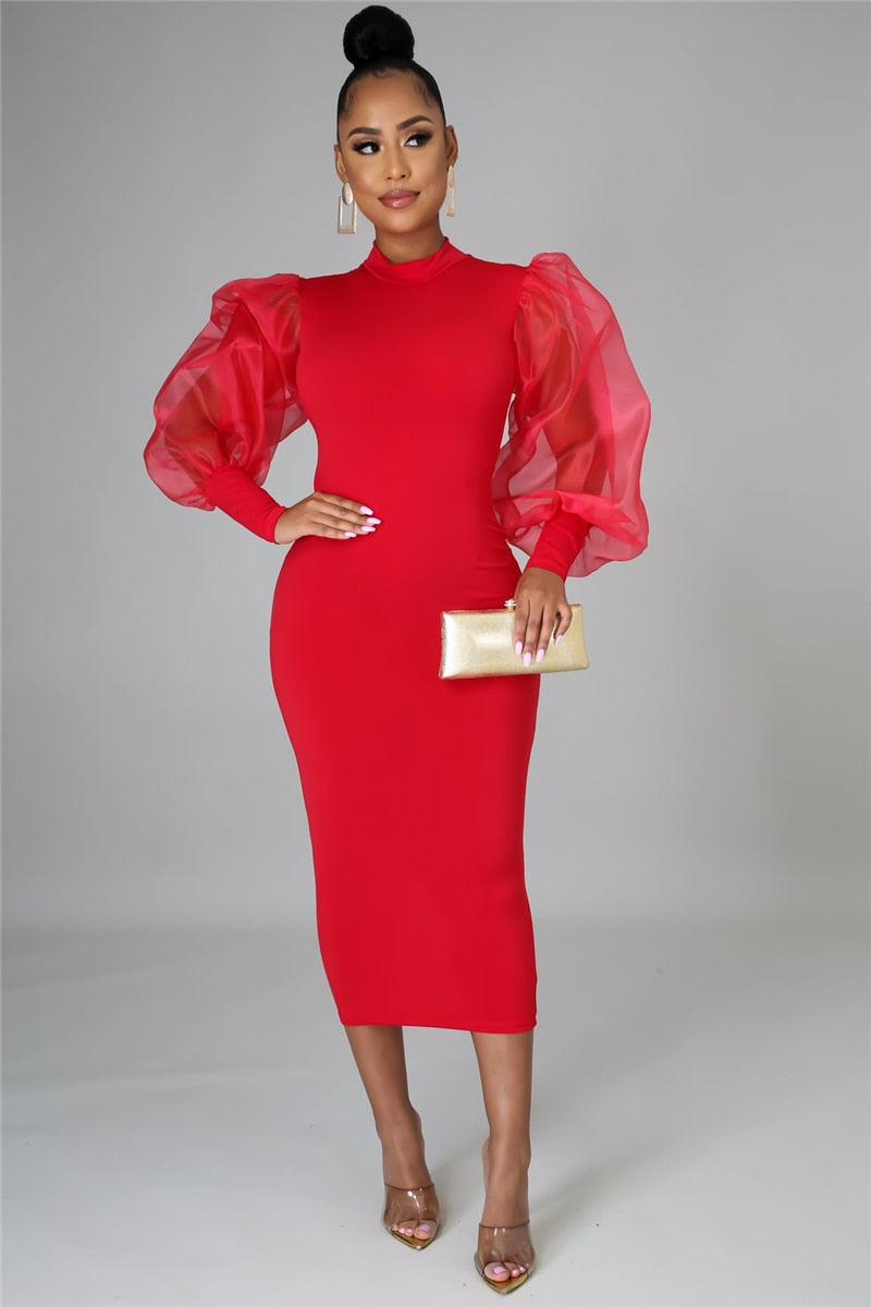 Lady Bodycon Party Long Dress Mesh Sleeve