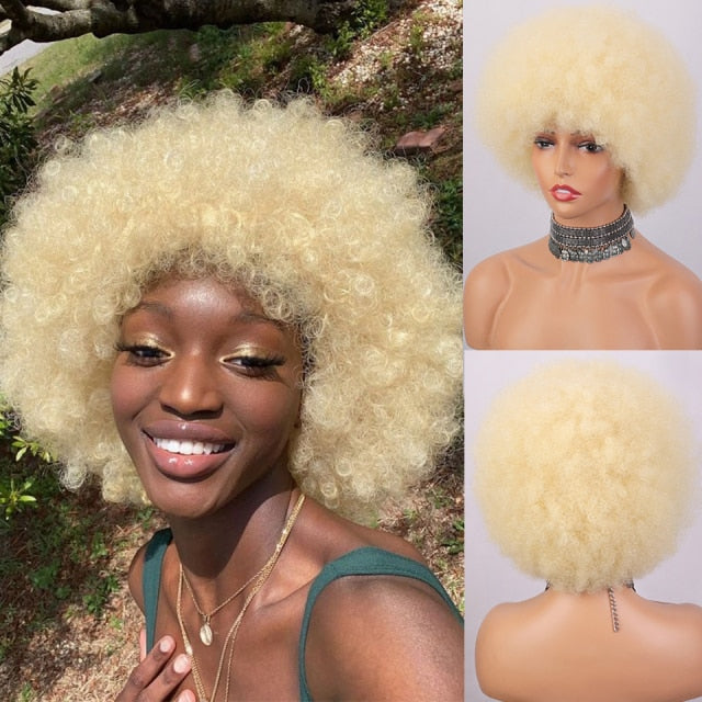 Short Fluffy Synthetic Wig Dark Brown Afro Wigs